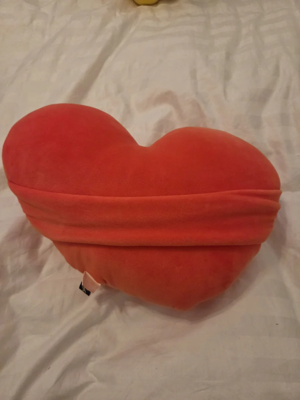 TATA Heart Plush Pillow